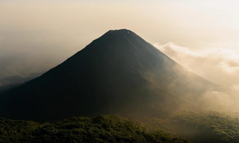 screenshot 2025 06 16 at 3.13.01 pm