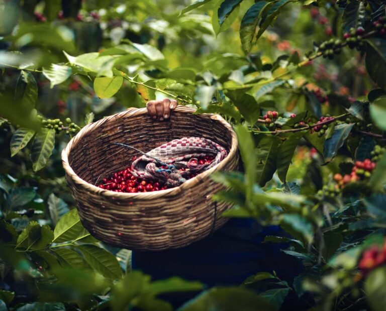 screenshot 2025 06 16 at 3.17.40 pm