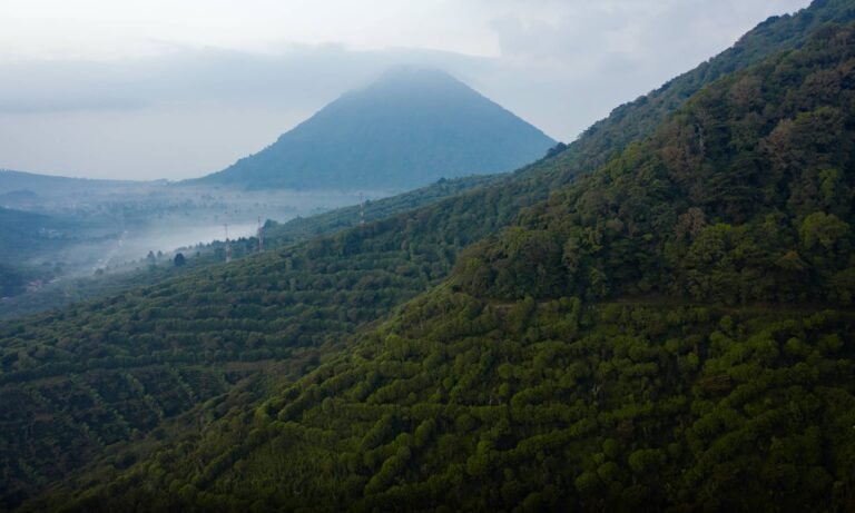 screenshot 2025 06 16 at 3.18.15 pm